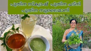 പുതിനയില ഉപയാഗിച്ചു 3 items ഉണ്ടാക്കാം - Mint Squash Drink, Mint Chutney and Mint Sulaimani