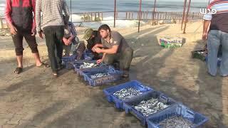 حسبة السمك على شاطئ بحر غزة..