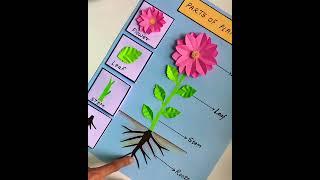 Science Project/ Science TLM #ytshorts #trendingshorts #viralvideo