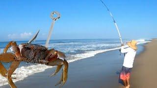 PESCADO CON CANGREJO // pesca de playa