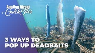 AD Quickbite – 3 Ways To Pop Up Deadbaits