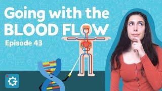 What Happens When We Get a Cut? [Going with the Blood Flow]