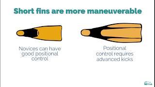 Short Fins Vs. Long Fins for Snorkeling