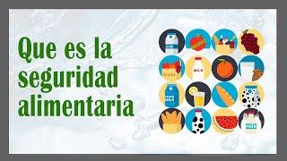 Que es la SEGURIDAD ALIMENTARIA y NUTRICIONAL  y Cuales son los factores que la componen