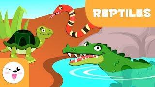 Reptiles for kids - Vertebrate animals - Natural Science For Kids
