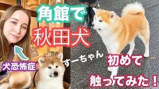 秋田県角館で秋田犬に触ってみた！あのマサルの親戚！？秋田犬のことについて飼い主さんにインタビュー！【東北の旅】秋田編