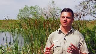 Loxahatchee National Wildlife Refuge