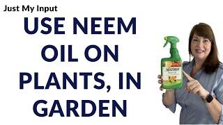 What Natural Pesticide is safe and effective for plants and vegetables? Use Neem Oil