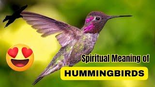 ⭐⭐ Exploring the Spiritual Meaning of Hummingbirds