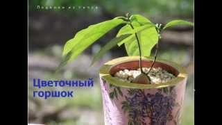 Цветочный горшок из гипса. Детальное описание.