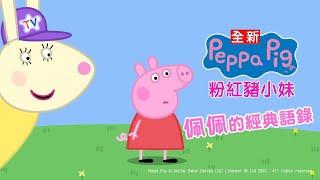 【#粉紅豬小妹】#peppapig  佩佩的經典語錄｜週一至週四 晚上8點｜YOYOTV