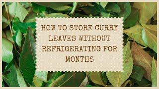 How to store curry leaves without refrigerating for months - Part 1 | No Fridge | Food to Cherish