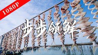 《老广的味道》第九季 第4集 步步领鲜｜1080P 看普通食材如何凭借一口鲜撩动老广味蕾！