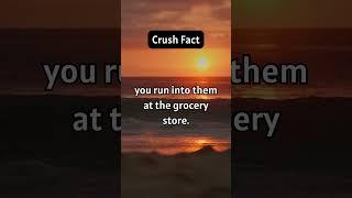 Crush Quirks: Strange but True Facts #educational #shorts  #mindblownfacts #didyouknow