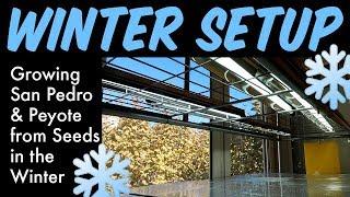 My Winter Setup - How to Grow San Pedro & Peyote from Seeds in Winter (cactus seedlings indoors)