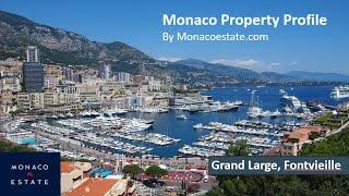 Monaco Property Profile - Grand Large, Fontvieille Monaco Insider