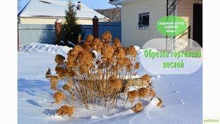 Центр природного земледелия "Сияние" г. Миасс
