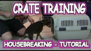 Crate Training a Puppy / Housebreaking - Tutorial