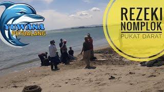 REZEKI NOMPLOK NELAYAN PUKAT DARAT PANEN #beachfishing #fishing #yearofyou #pukat