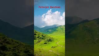 The Most Beautiful Meadows Of KPk Siran Valley Mansehra #siranvalley #shorts #youtubeshorts #viral