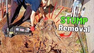 How To Remove a Tree Stump. 7 Proven Methods!