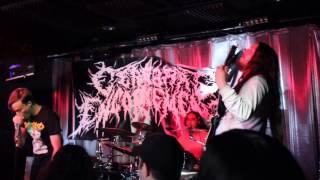Cerebral Engorgement - Double Penetrated at the Dinner Table (Live)