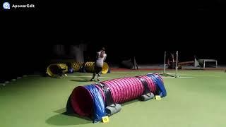 Maya & Onix agility training 06.10.2017.