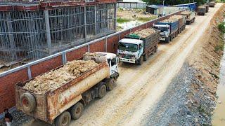 Amazing Team 12 Wheel Dump Truck Running Soil And Skill Operator Use Power Pushing Soil