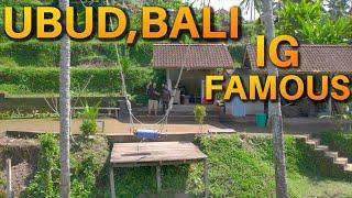 Bali Swing |Tegalalang Rice Terrace| Bali Travel Guide