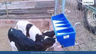 DeLaval Calf Multi Feeder