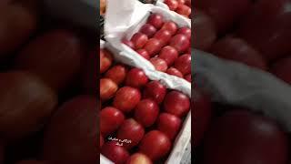 بازرگانی و صادرات برادران آذرنگ صادرات انواع میوه به کشورهای حوزه ی خلیج فارس