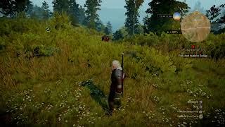 The Witcher 3 The Wild Hunt (4K Full HDR) LiveStream