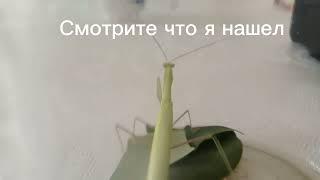 Моя находка