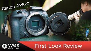 Canon EOS R7 and EOS R10 | Review