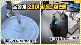 보는 내내 온 몸이 간지러워지는 소름돋는 장면들ㄷㄷㄷ;;