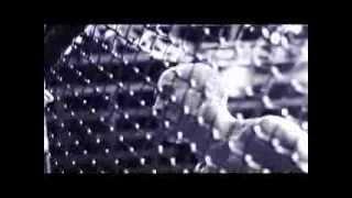 Cage Fury Fighting Championship 26 "Highlight"