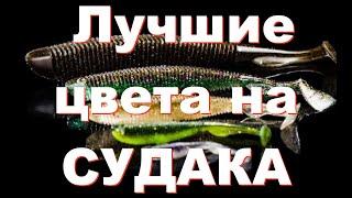 Цвет силиконовых приманок на СУДАКА