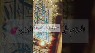 Imam Mehdi AJTF Wiladat | 15 Shaban | #15shabankifazilat #shaban  #imammehdi