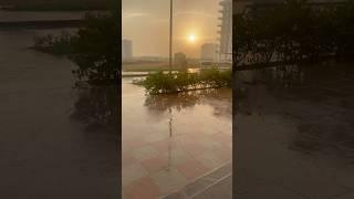 Rain in Dubai #uae #rain #shortsfeed #youtubeshorts