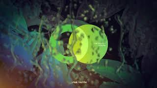 Huntersynth - Self Creation (Original Mix) // Area Verde