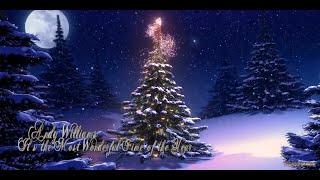 Andy Williams - It's the Most Wonderful Time of the Year