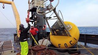 EcoFOCI: Forecasting Fisheries in a Warming Alaska