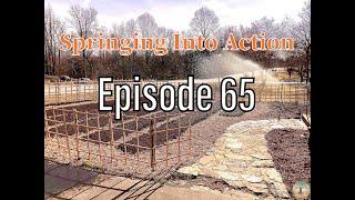 Springing Into Action (Episode 65)