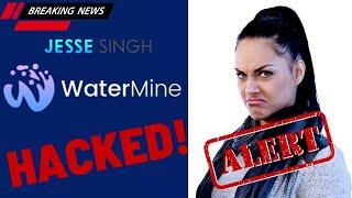 WaterMine Hacked, Investors Not Paid, Millions of Dollars Lost! |Watermine.io