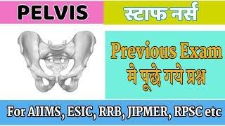 Pelvis || Question Asked In Previous Staff Nurse Exam || Lo Gyan Lo