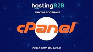 How to add CNAME Record in cPanel using the DNS Zone Editor with HOSTING B2B