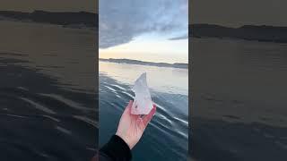 Sailing the Arctic Ocean in Baffin 