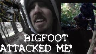  BIGFOOT SASQUATCH TROOP ATTACKED ME WITH INFRA-SOUND! Sighting + Noises + Video! #OHMAWING NTS-#15