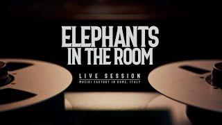 Elephants in the Room - I'll Do (Live Session)