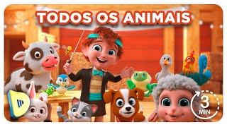 Ovelhinha de Davi - Todos os animais Cantam | DESENHO INFANTIL